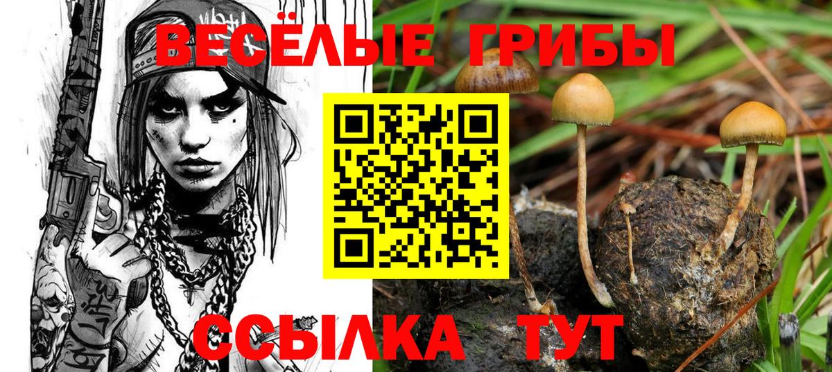 Галлюциногенные грибы ЛСД  Вход с VPN  Псилоцибиновые грибы мицелий  Тобольск 