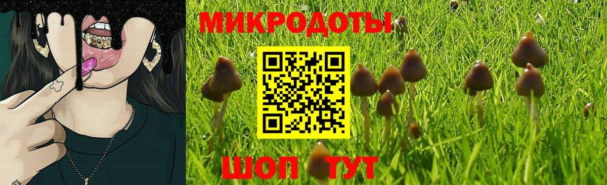 Галлюциногенные грибы прущие грибы Тобольск