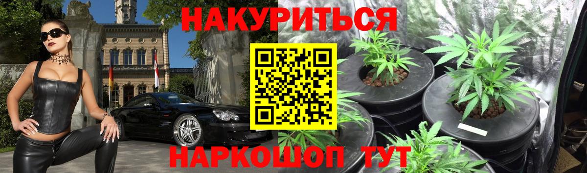 Каннабис OG Kush Тобольск